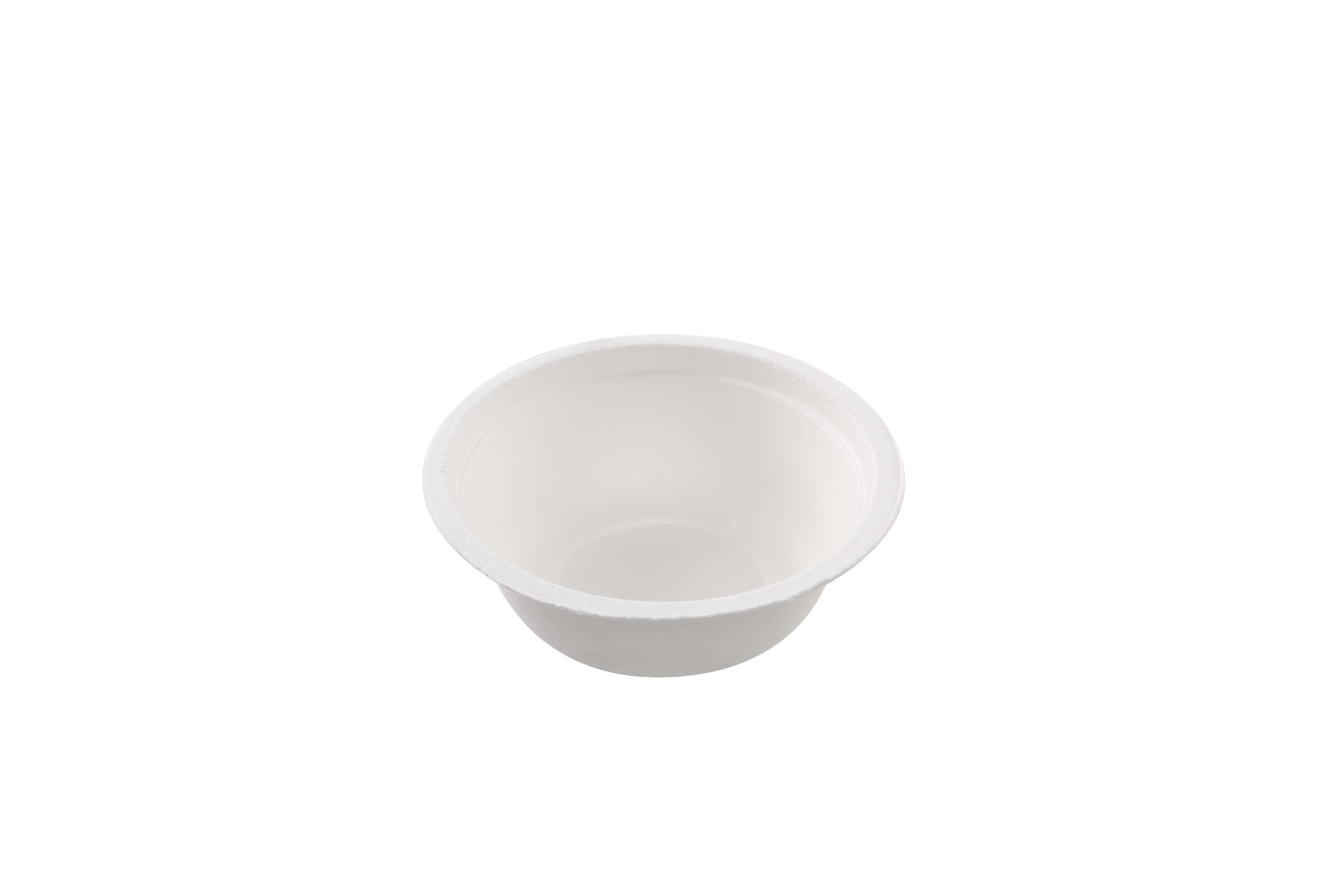 Bol bagasse